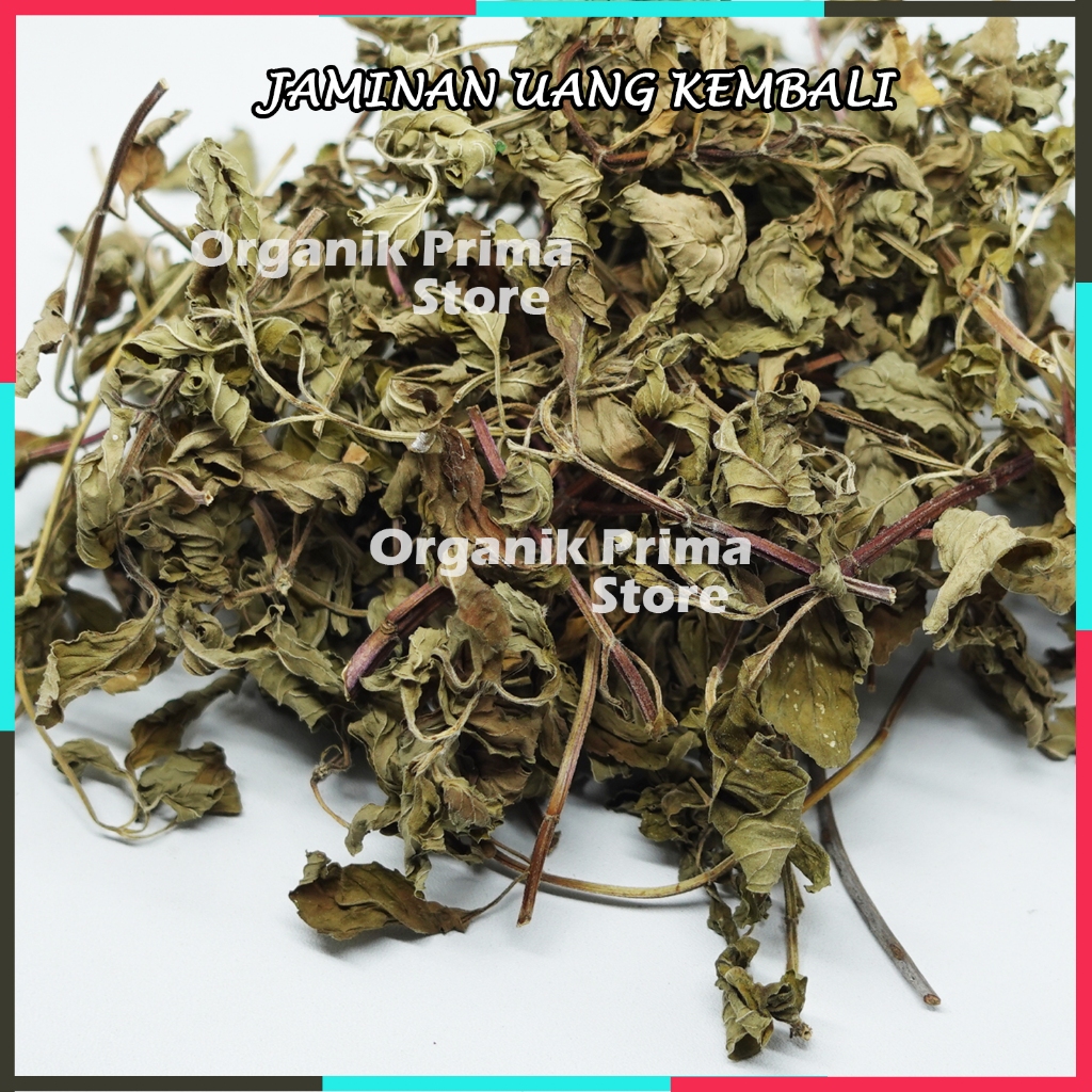 

Daun Stevia Kering 500gr Bersih dan Organik