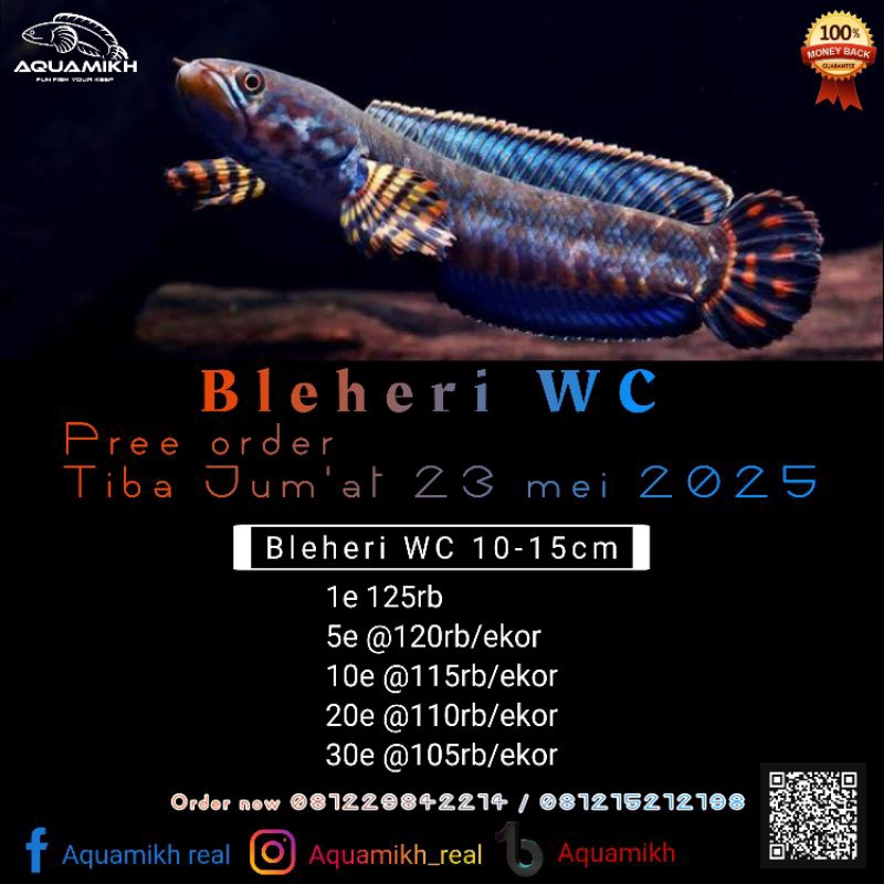 bleheri WC 10-15 grade A
