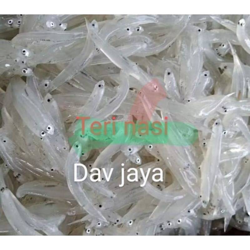 

Teri nasi basah 250gr ( premium dan fresh untuk MPASI) TERMURAH BERGARANSI