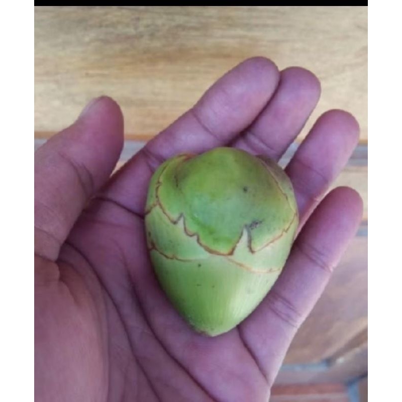 

Bluruk kelapa