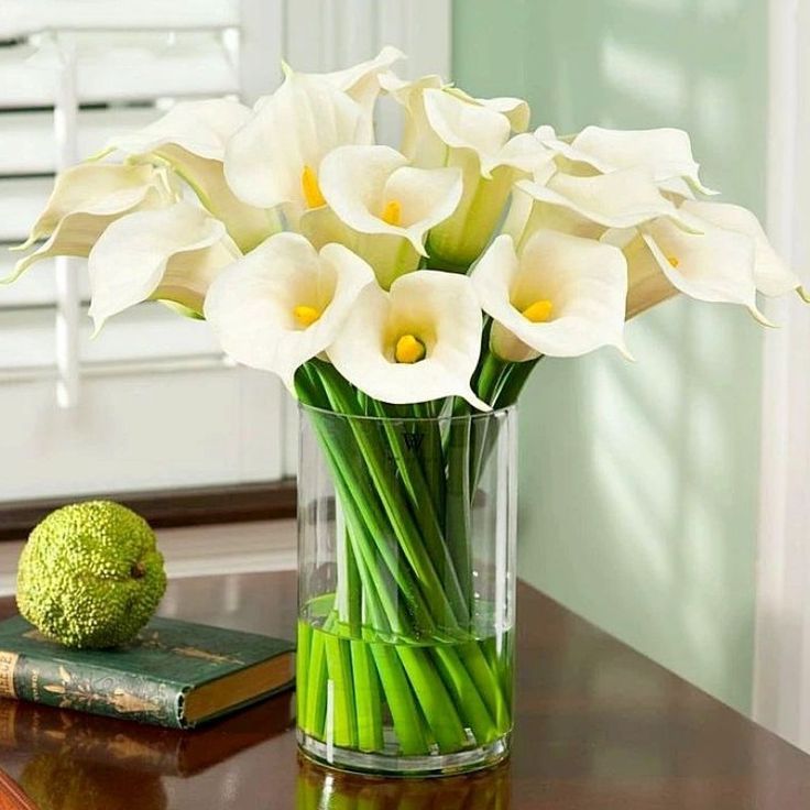 Vas Kaca Besar I Vas Bunga Kaca Tinggi I Vas Bunga Kaca Elegan