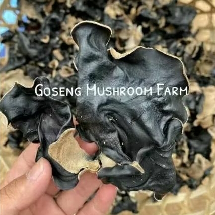 

Jamur kuping kering hitam super 1kg