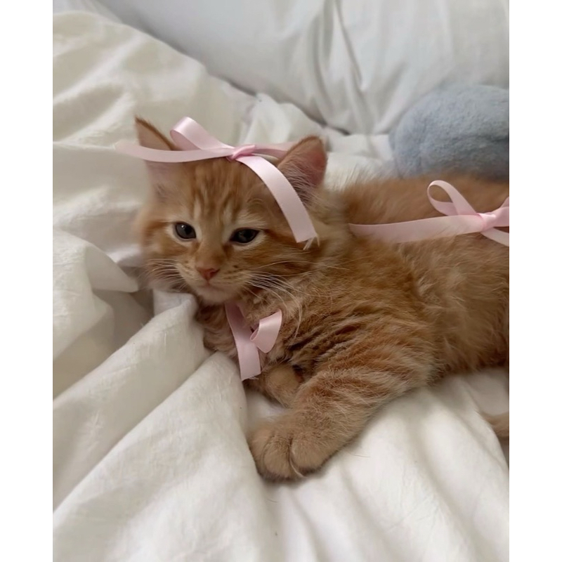 

JASTIP SINGAPORE 2025