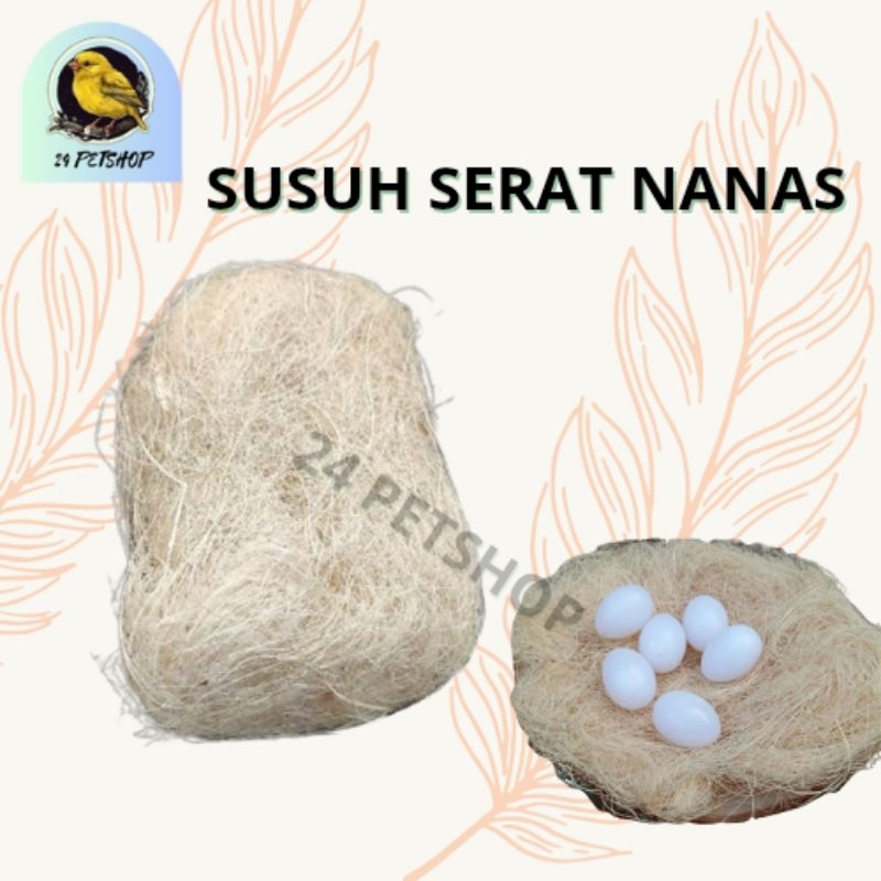 SUSUH SERAT NANAS / SERAT NANAS REKOMENDED / SUSUHAN BURUNG