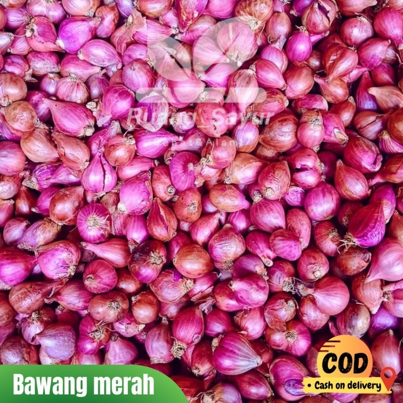 

Bawang Merah Lokal , Bawang Merah 1 Kg , Bawang Merah Murah , Bawang Merah