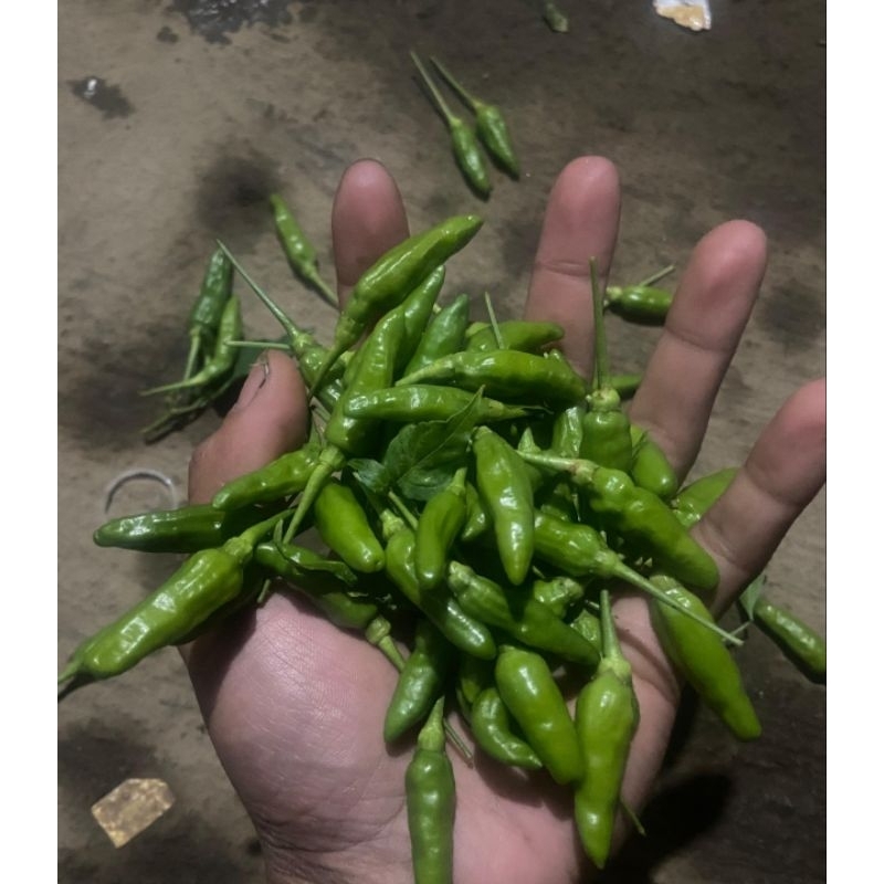 

cabai rawit hijau/lalap fress 500gram