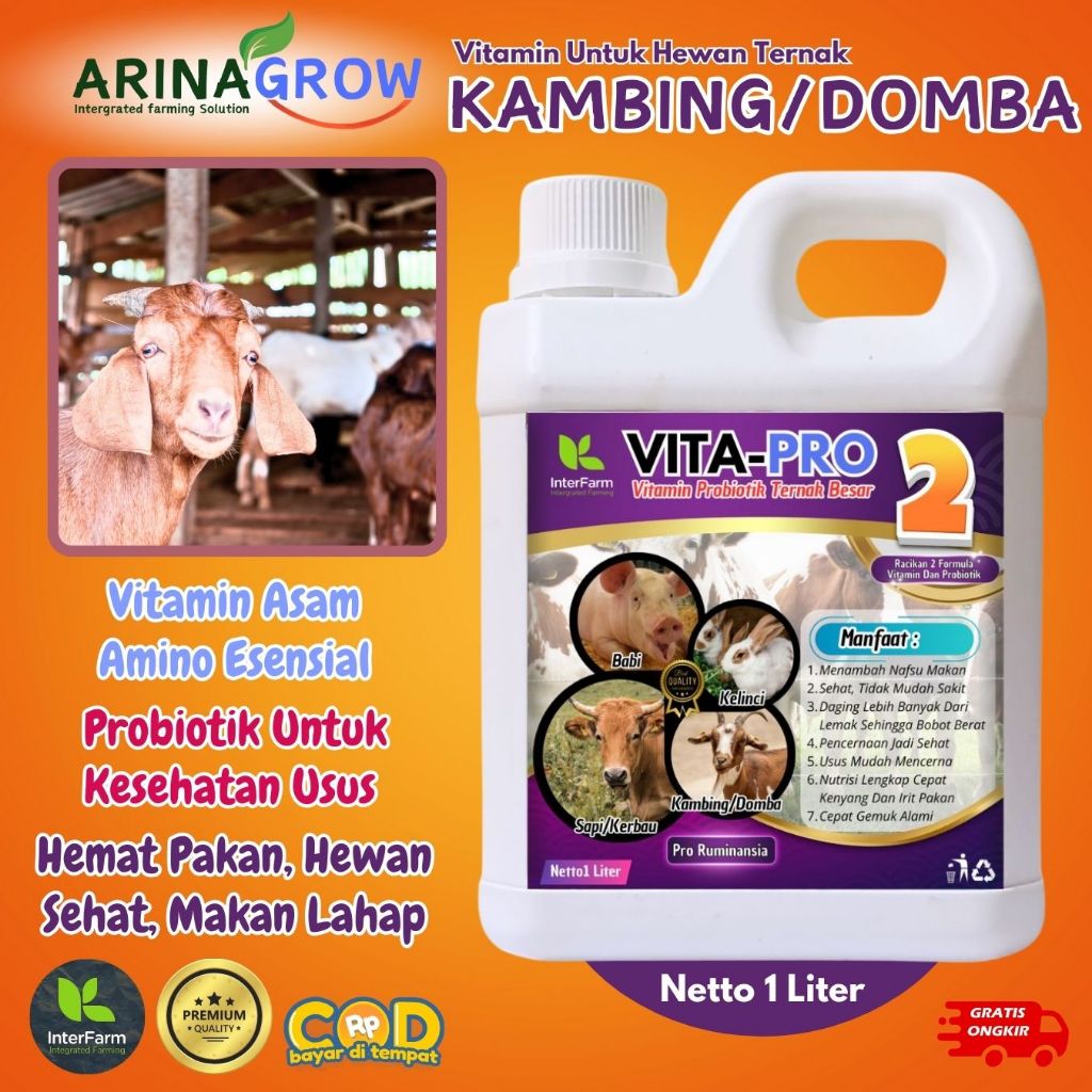 Obat penggemuk Kambing/ Vitamin penggemuk Kambing paling cepat/Jamu Kambing gemuk INTERFARM 1 liter