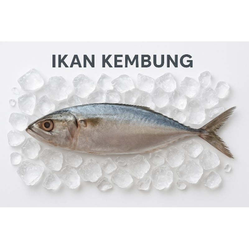 

IKAN KEMBUNG 1 KG