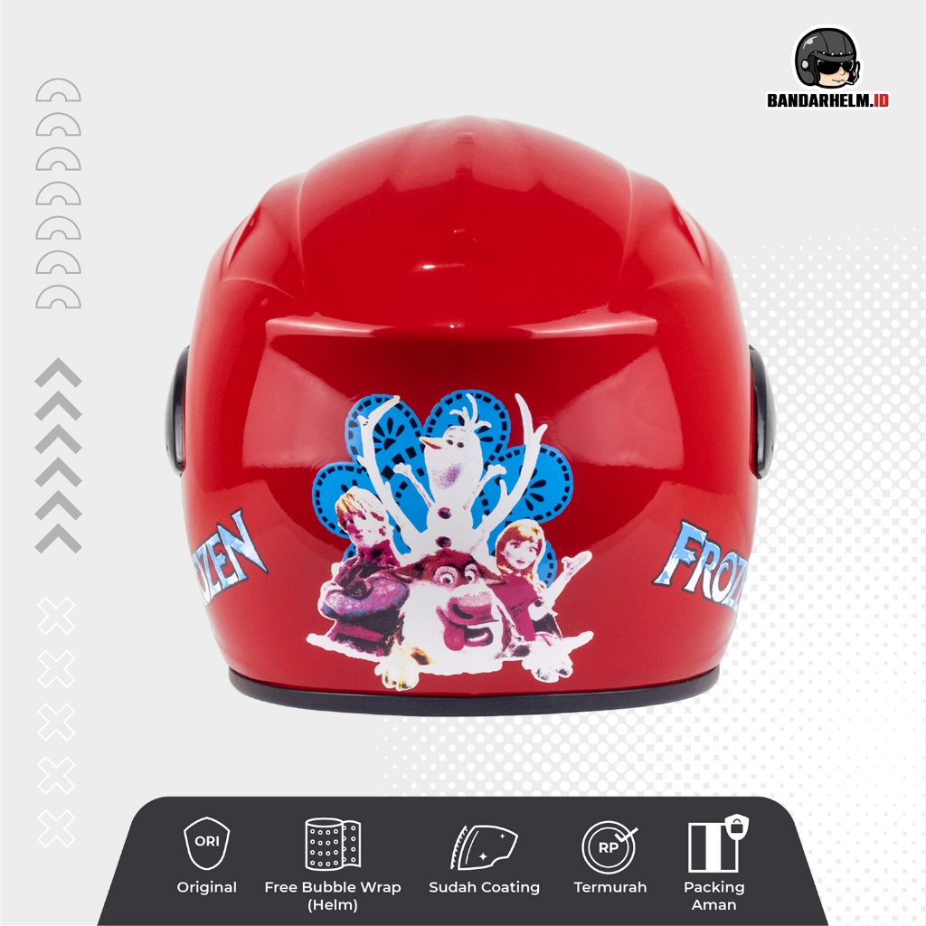 Helm Anak Pet SNI Frozen