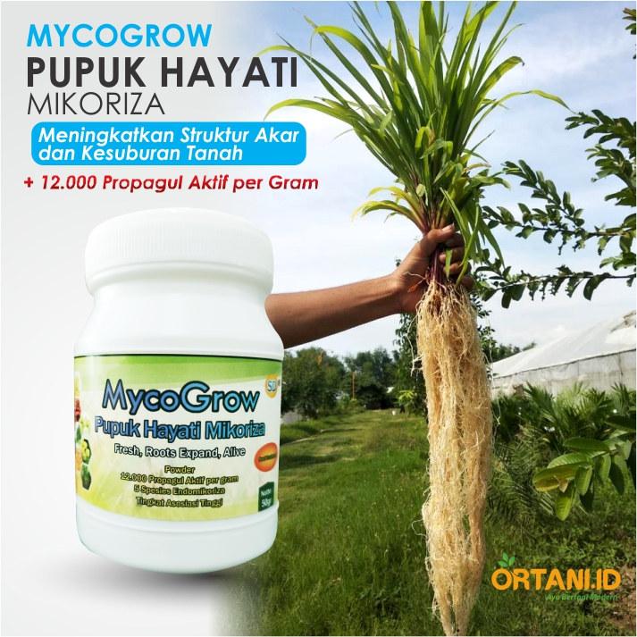 Mycogrow Powder Pupuk Hayati Berbasis Mikoriza Penguat Akar Tanaman | 50gr