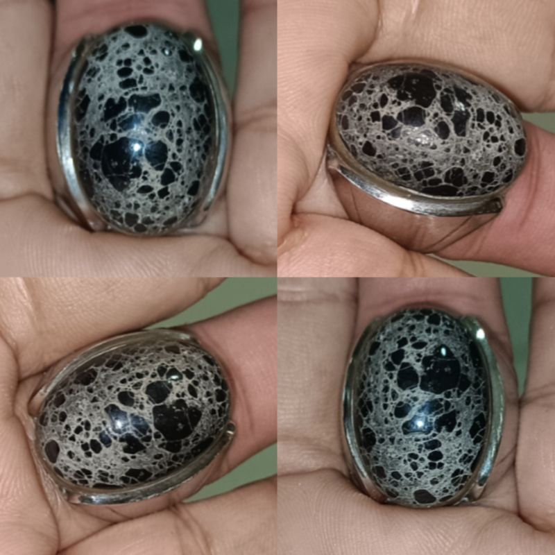 Natural Black Titus - Pirus Hitam Situbondo - NTD