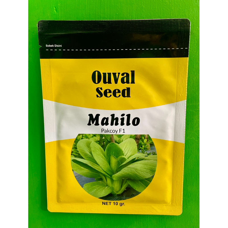 benih pakcoy mahilo F1 ouval seed bibit pakcoy