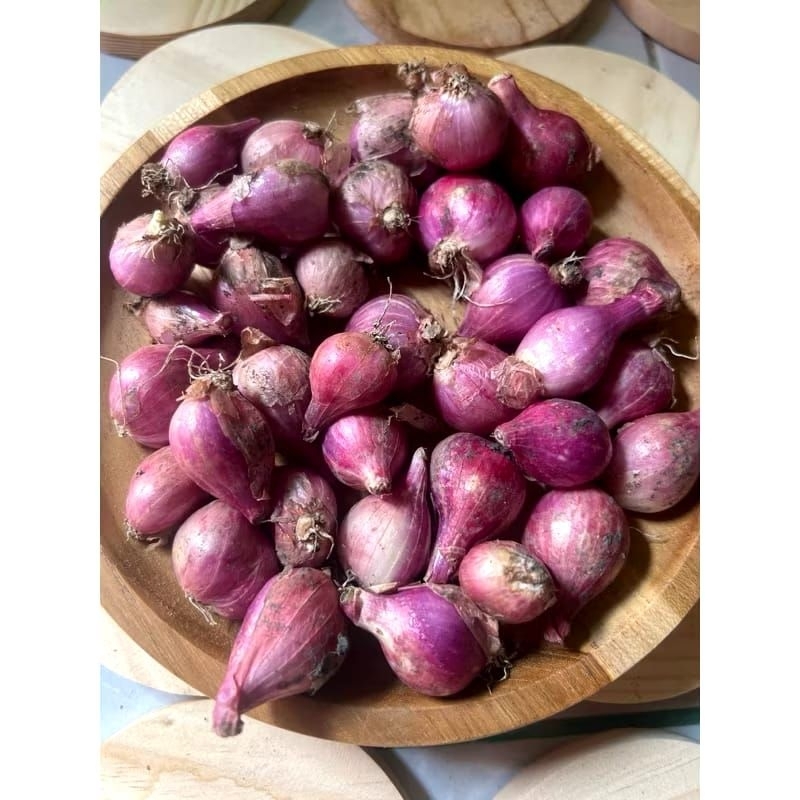

Bawang merah tanggung kecil