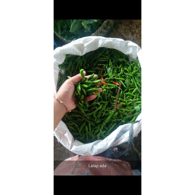 cabe rawit hijau lalap Segar