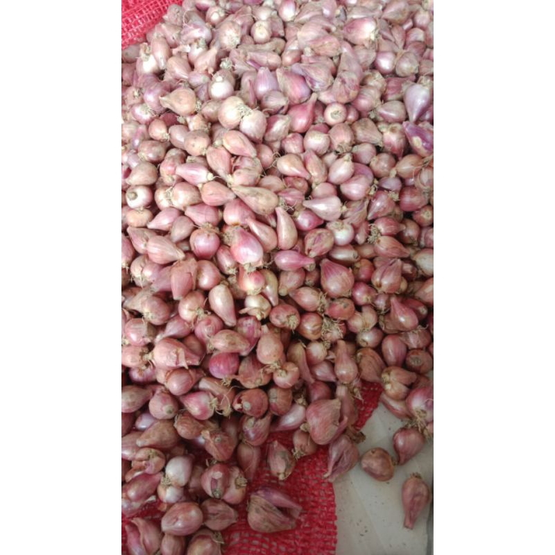 

Bawang merah 1kg
