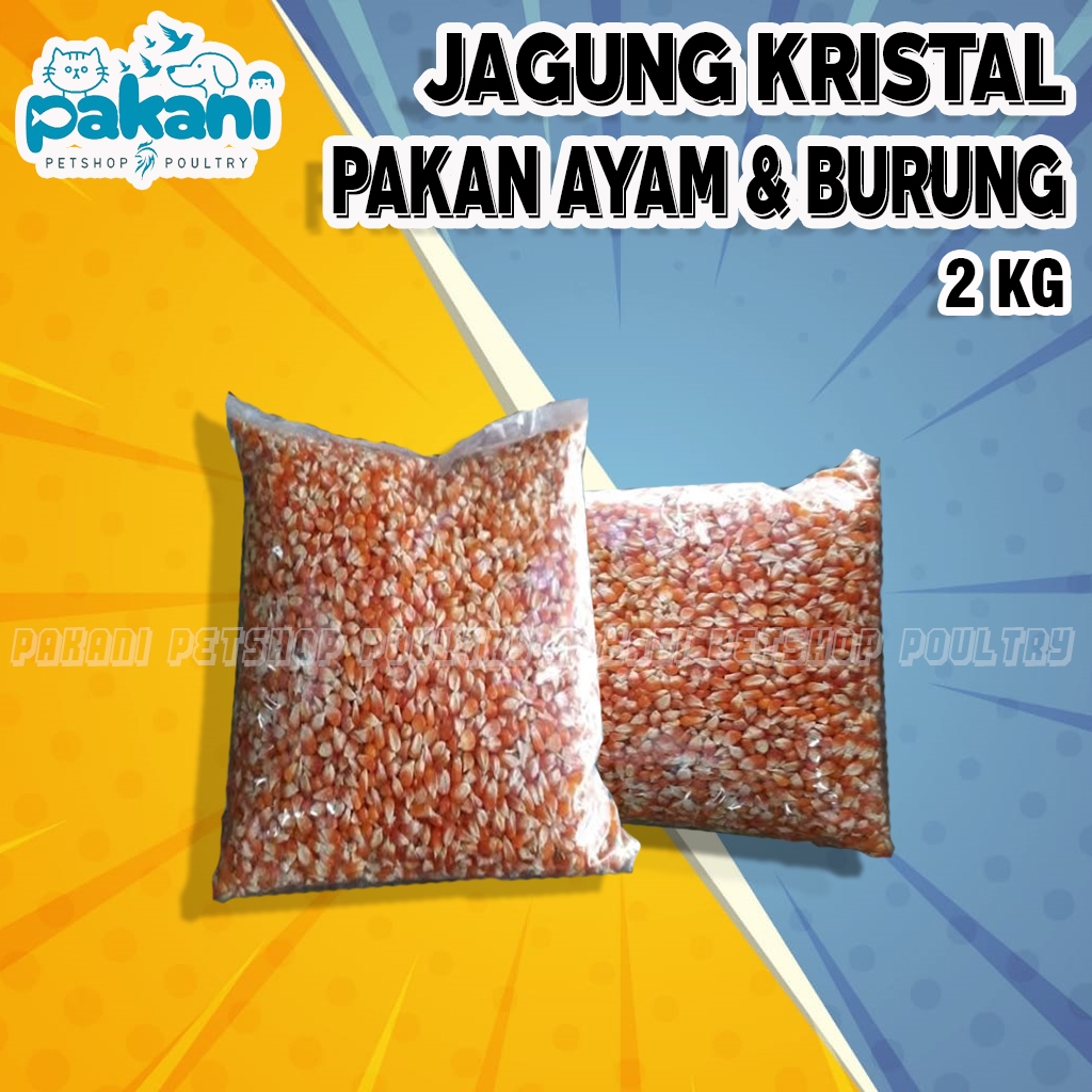 JAGUNG KRISTAL MERPATI 2kg JAGUNG BURUNG DARA JAGUNG BURUNG MERPATI