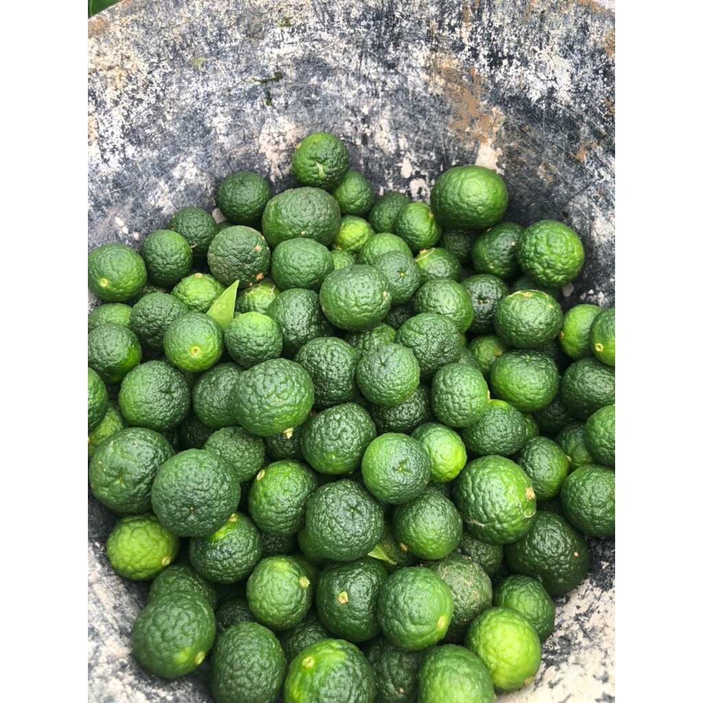 

1KG JERUK LIMAU/JERUK SAMBAL KECIL
