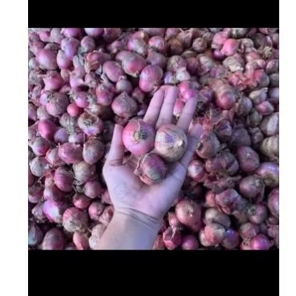 

bawang merah 3kg