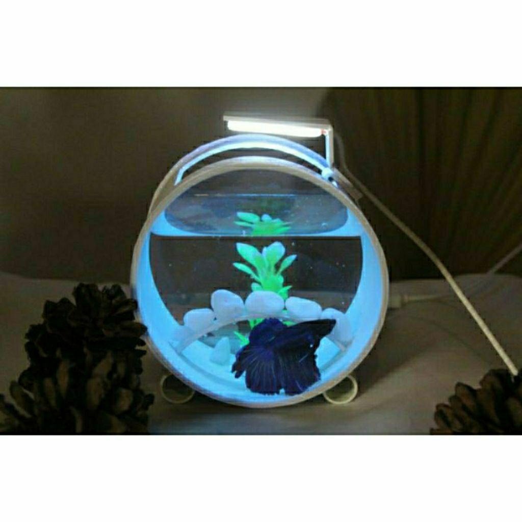 Aquarium mini Cupang Ikan hias Dan Ikan Kecil Lainnya Lucu Buat Hiasan