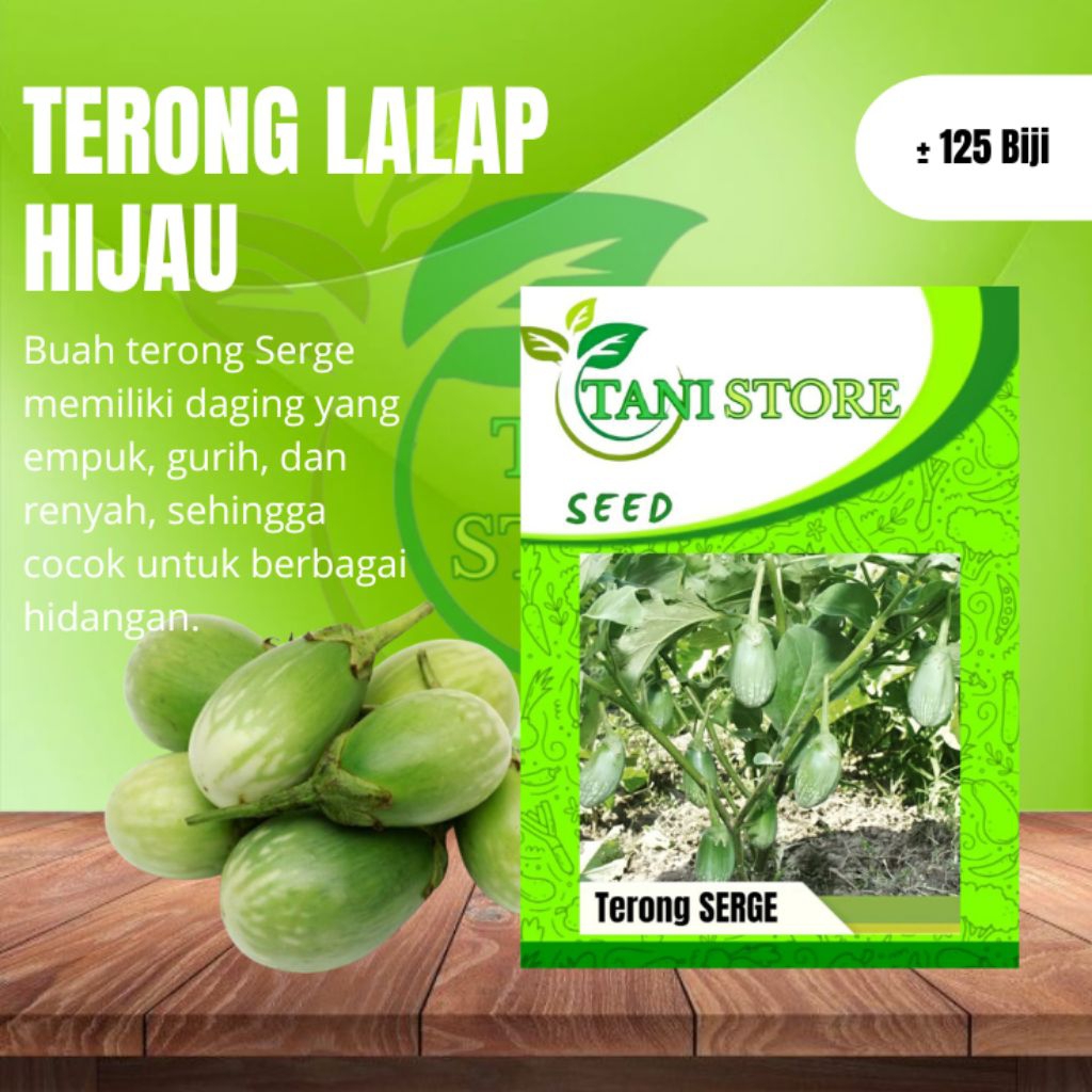 Benih Terong Lalap Hijau Hibrida ± 125 Biji