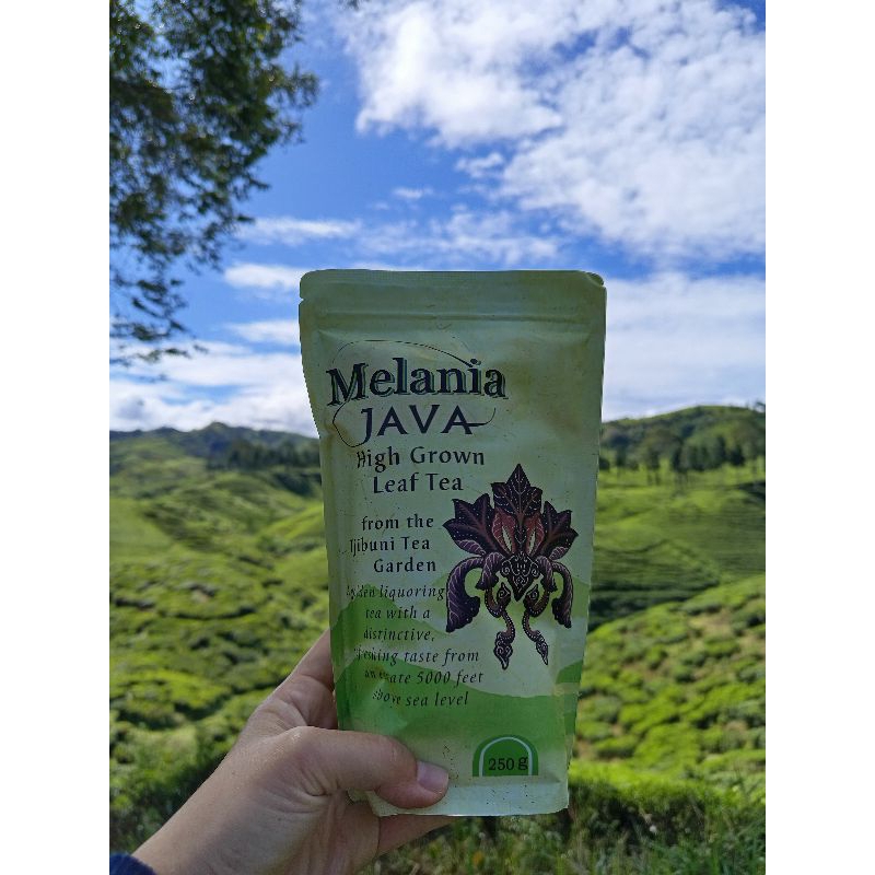 

Teh Hitam Premium | CTC Black Tea From West Java | Teh Cibuni PT Melania Indonesia