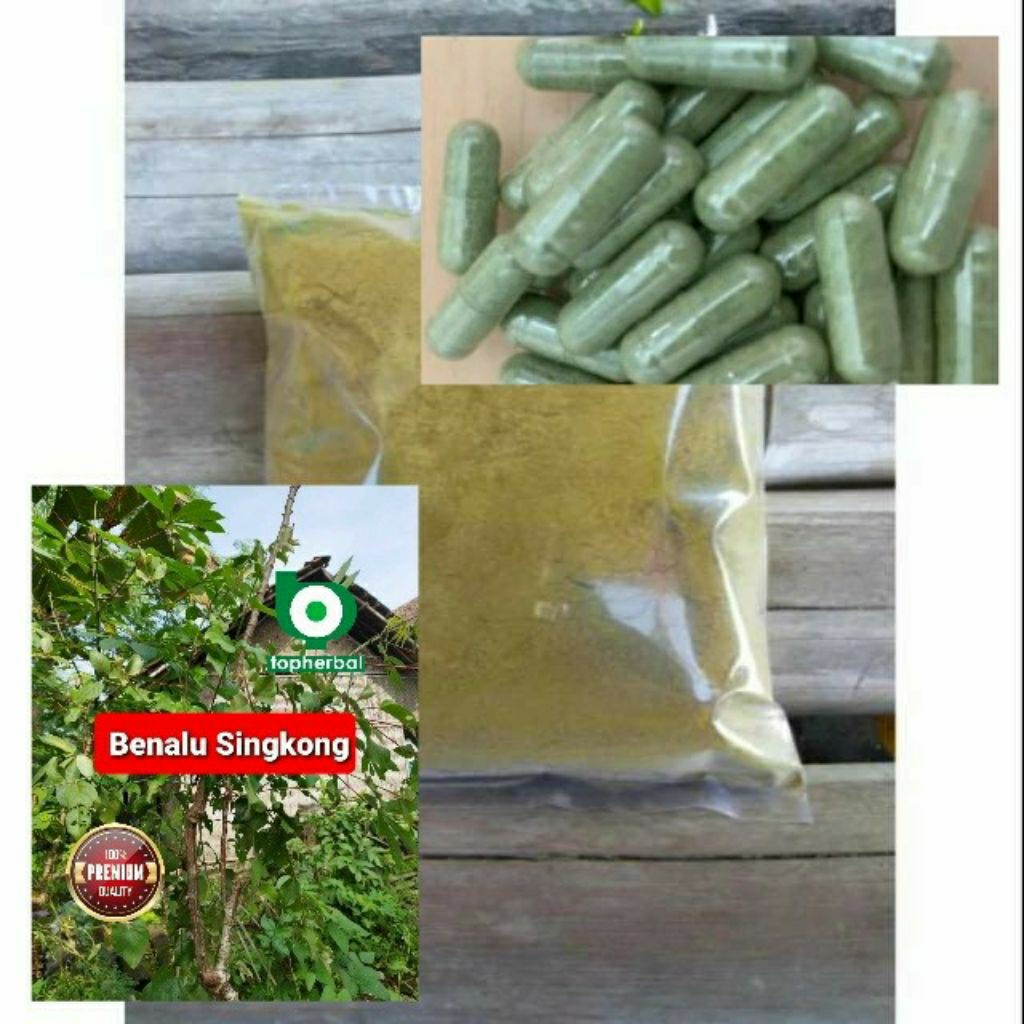 

Kapsul Benalu singkong isi 100 Kapsul (Kering Hijau Organik Super Premium)