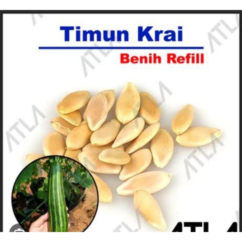 Bibit timun krai