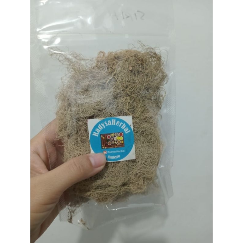 

READY LANGSUNG KIRIM KAYU ANGIN KERING ORGANIK ASLI HUTAN AKAR ANGIN