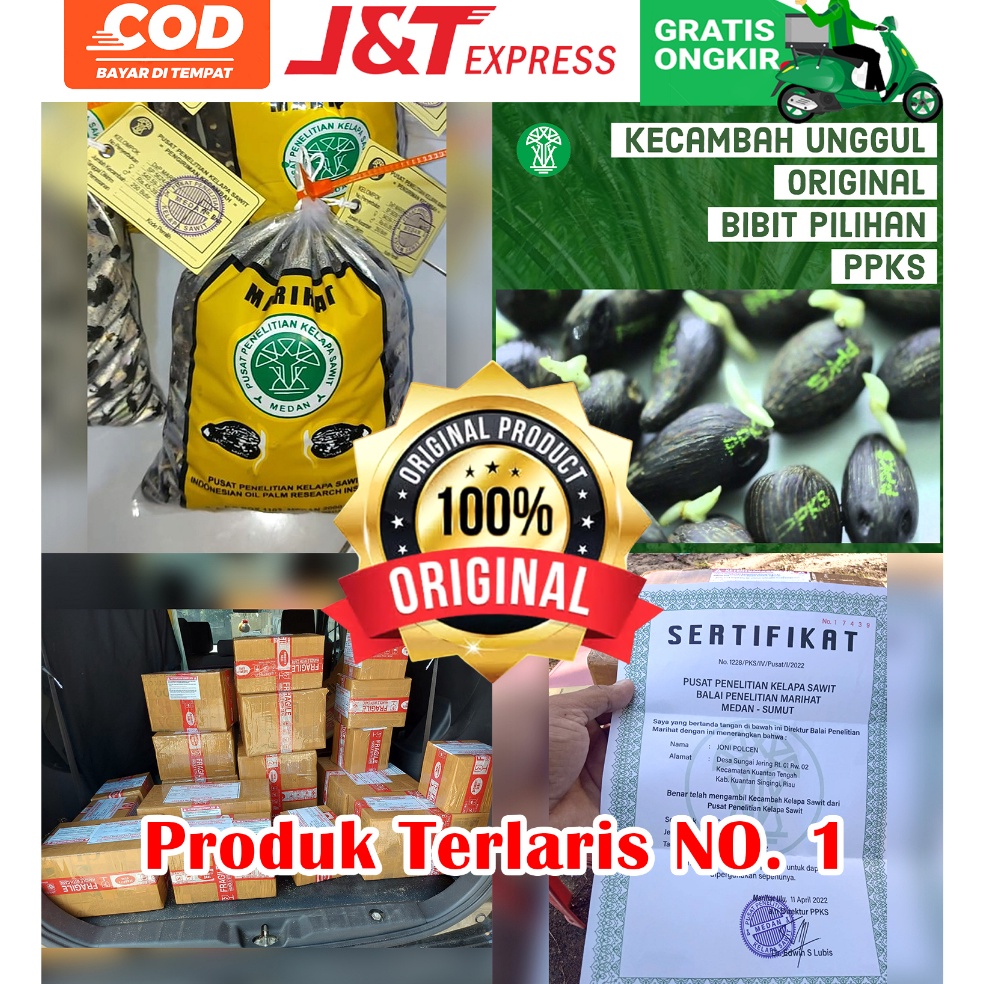 PPKS DxP Marihat Unggul Bibit Sawit Sertifikat KODE D4D8