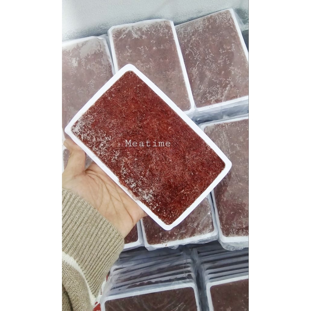 Cacing Beku Cabek Tray Kemasan Lempengan 100gr Blood Worm Pakan Ikan Cupang Louhan Predator Makanan 