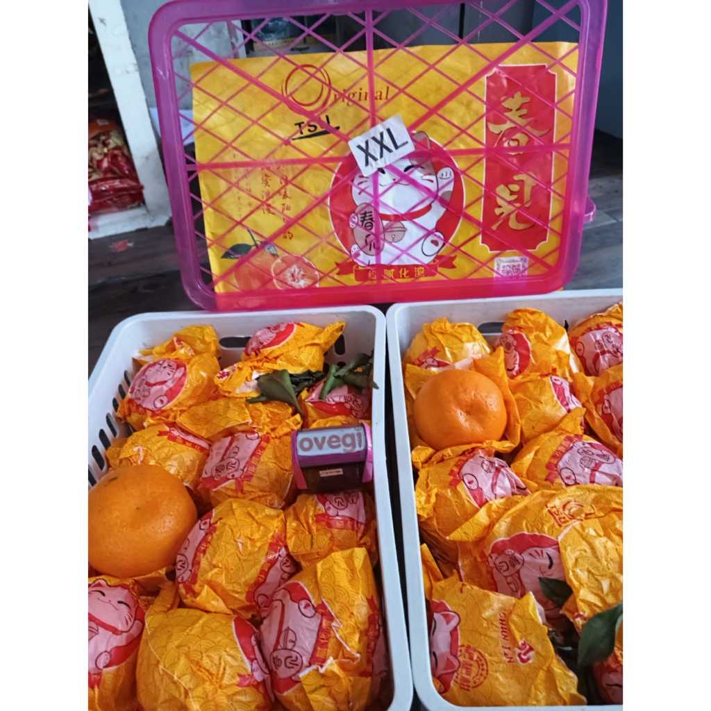 

JERUK MANDARIN PAPAGAN/DEKOPON KUCING XXL/2XL DEKOPON/JERUK DEKOPON/JERUK IMPORT 1 PCS/DEKOPON 1 PCS
