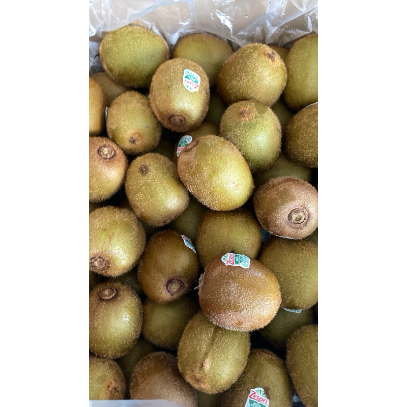 

Kiwi Hijau Zespri
