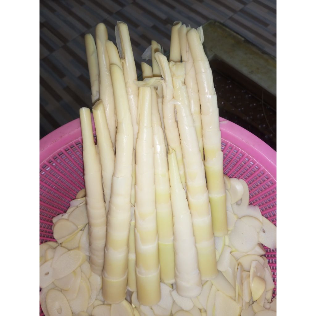 

Rebung Enak Di Jamin Fress Silakan Di order