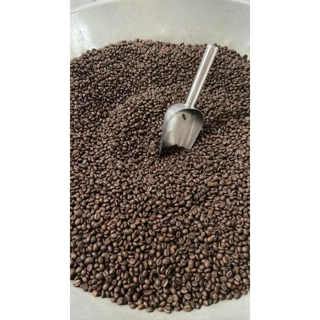 

kopi robusta petik merah