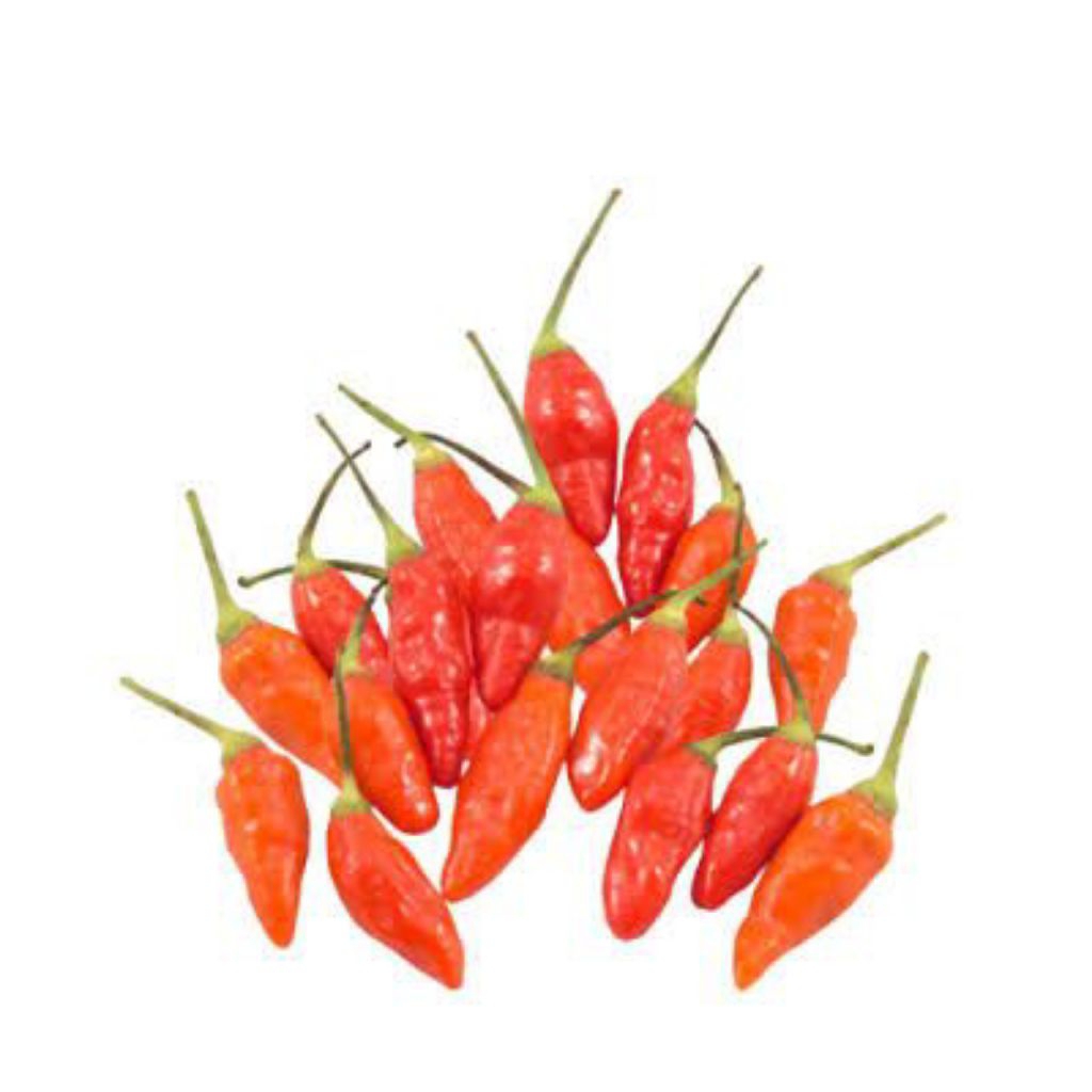 

Cabai Rawit Merah