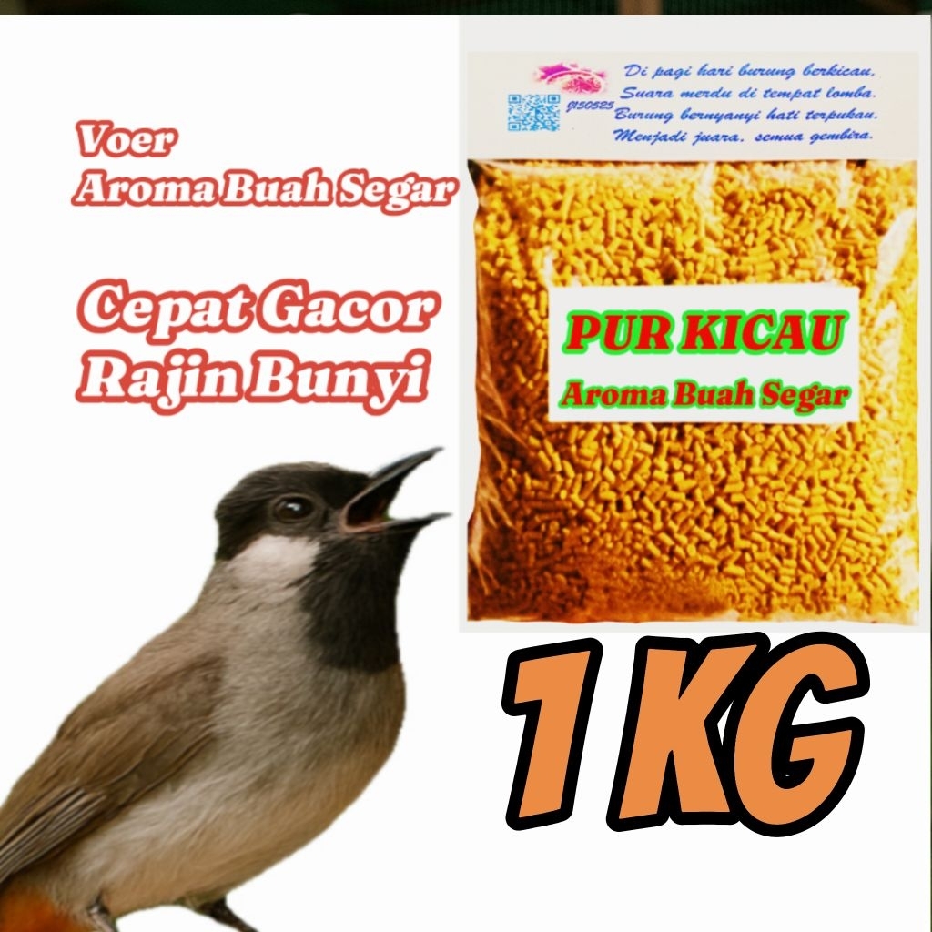 Voer Kutilang. Pur Kicau Aroma Buah Segar. Pakan Burung Kutilang, Jogjrog.