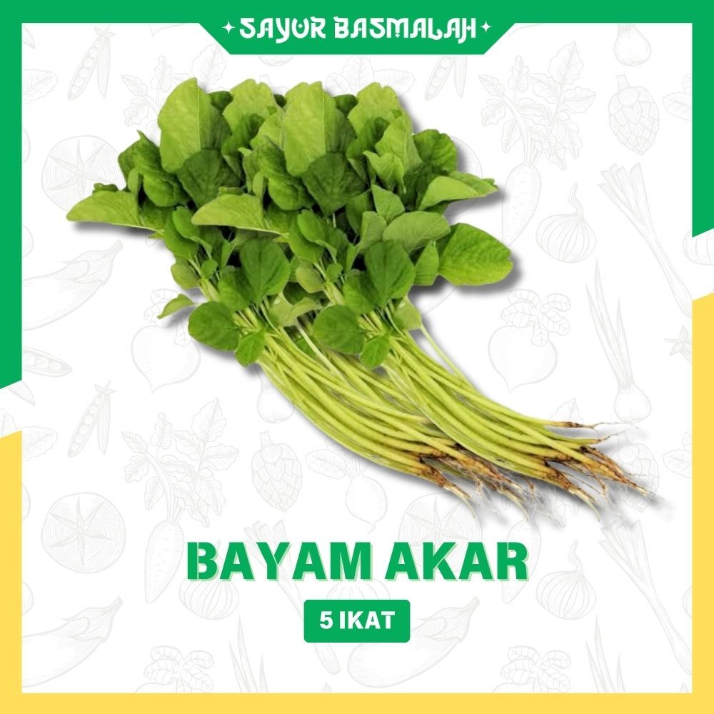 

Bayam Akar 5 Ikat- Sayur Basmalah