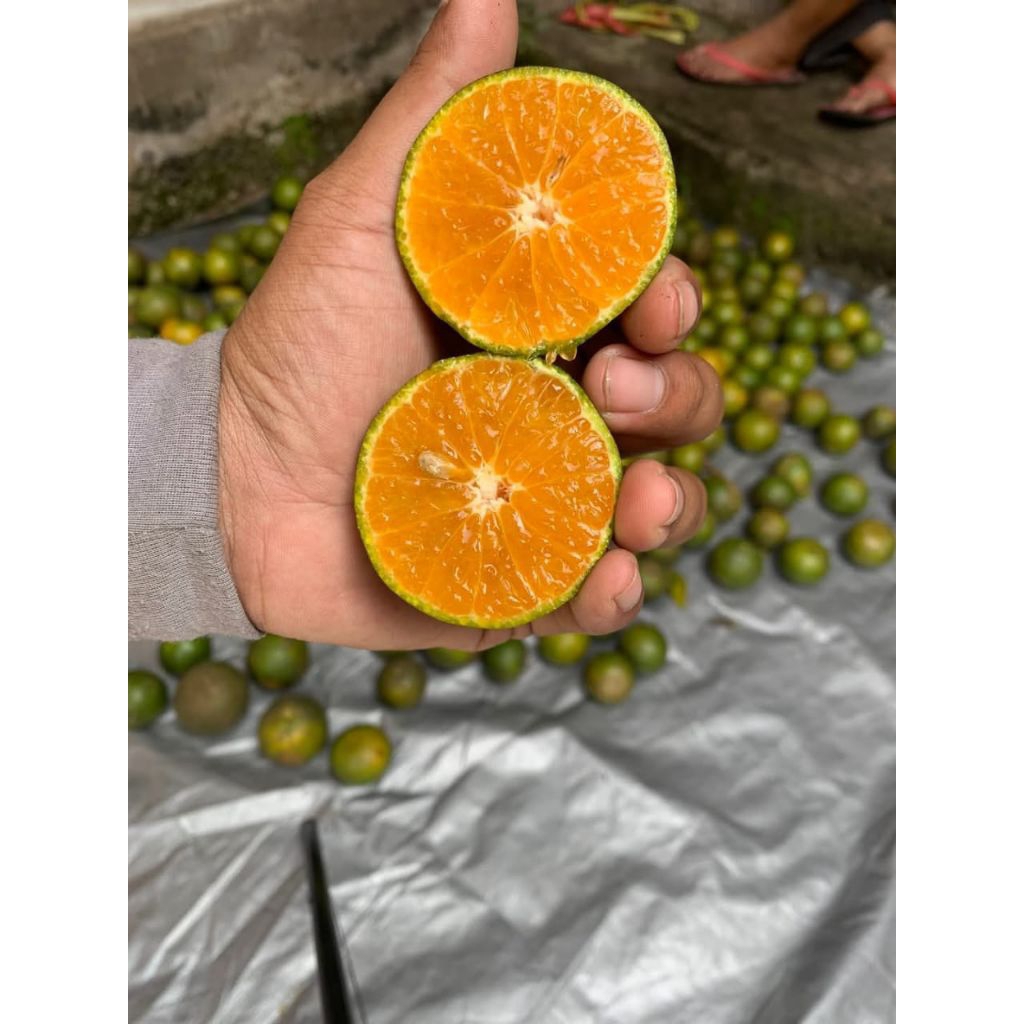 

jeruk peras 500gr/1000gr