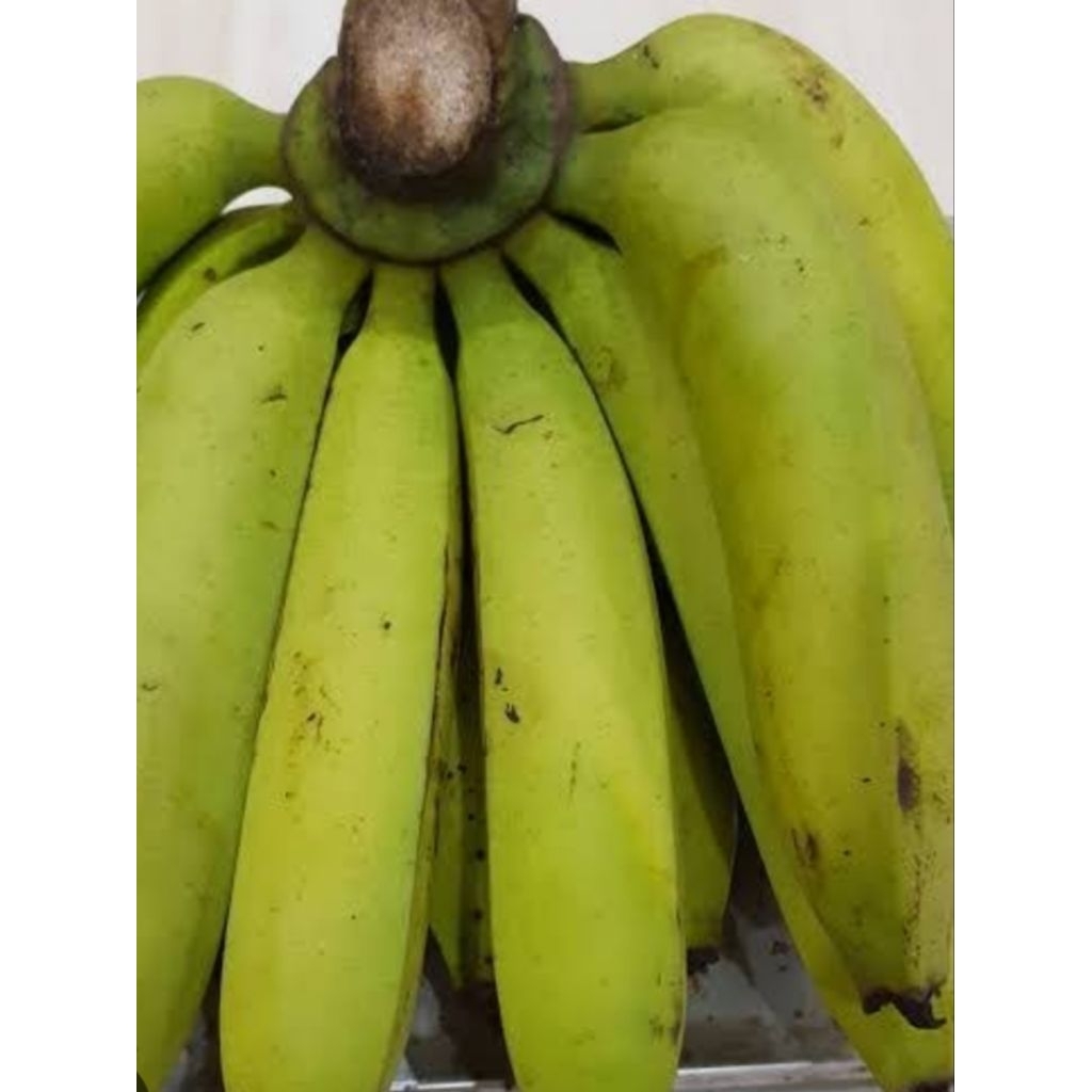

Pisang Ambon 1 Kg 6.500