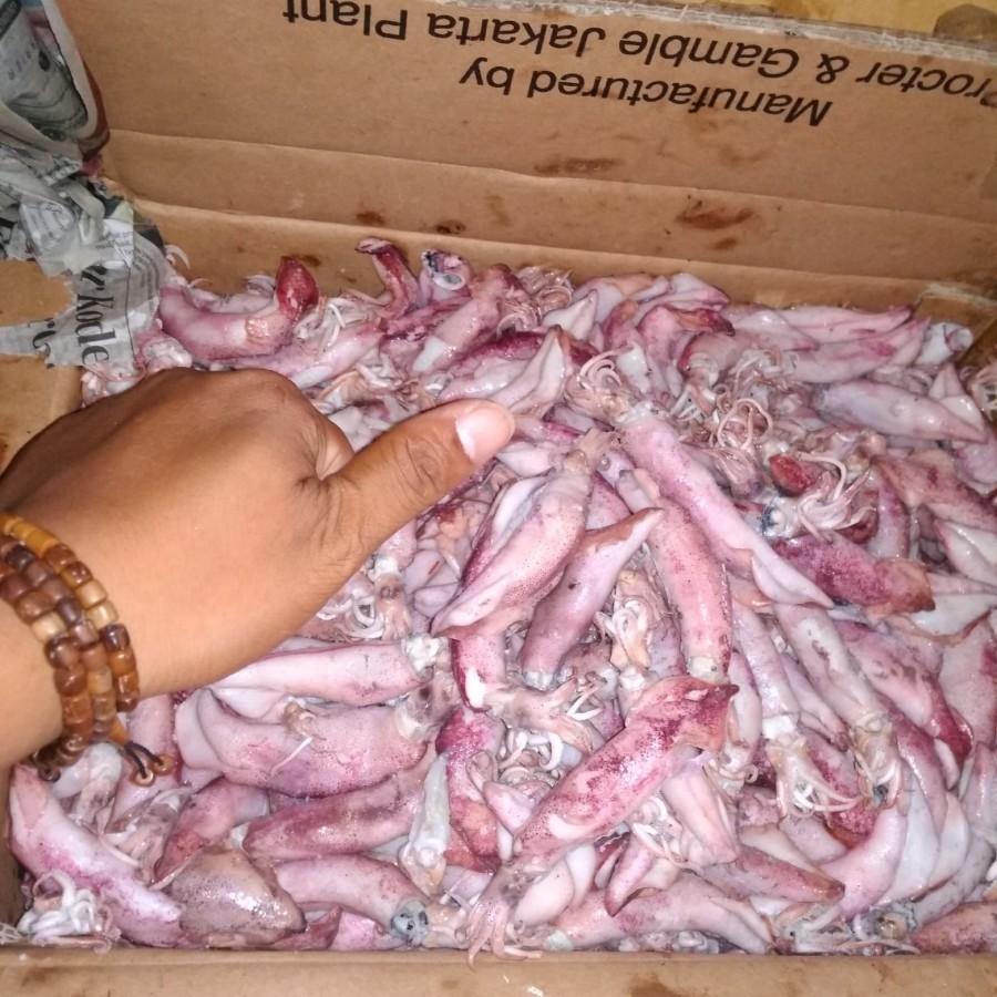 

termurah ikan asin cumi sotong super