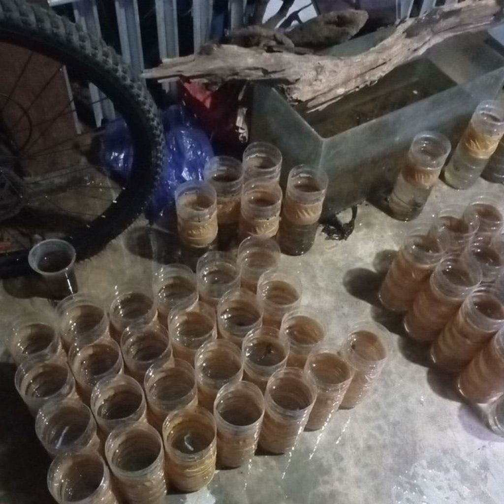 botol plastik Hm multi colour