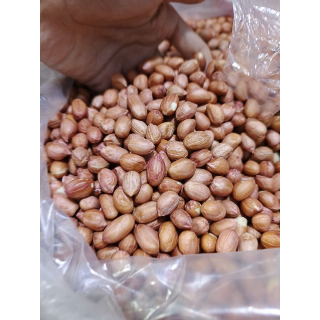

kacang tanah kacang 1kg kacang kulit tanah premium
