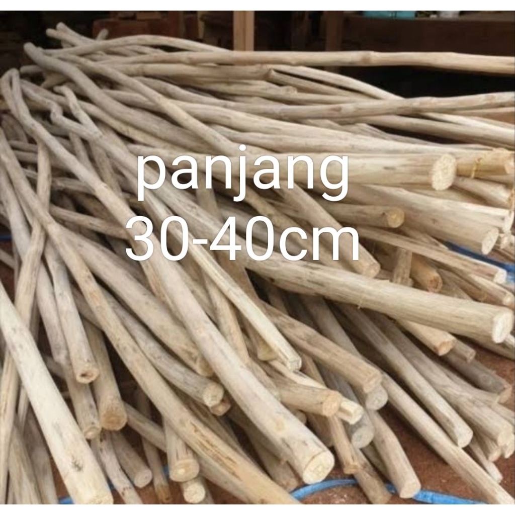 ranting pohon jati 5psc