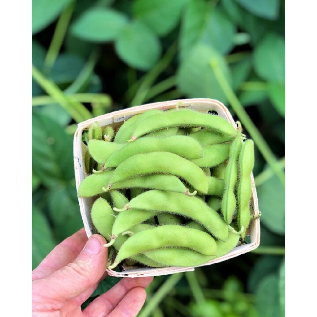 

Edamame fresh perpack