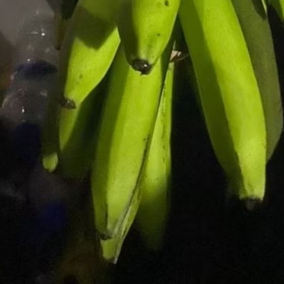 

Buah Pisang Mentah Alt 1 Pcs Pisang Bangkaulu