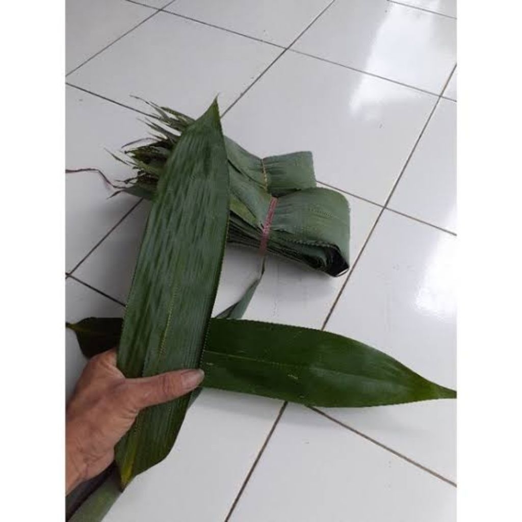 

1 KG Daun Bambu Segar Asli - Bungkus Kicang / Kwecang – Wangi & Siap Pakai