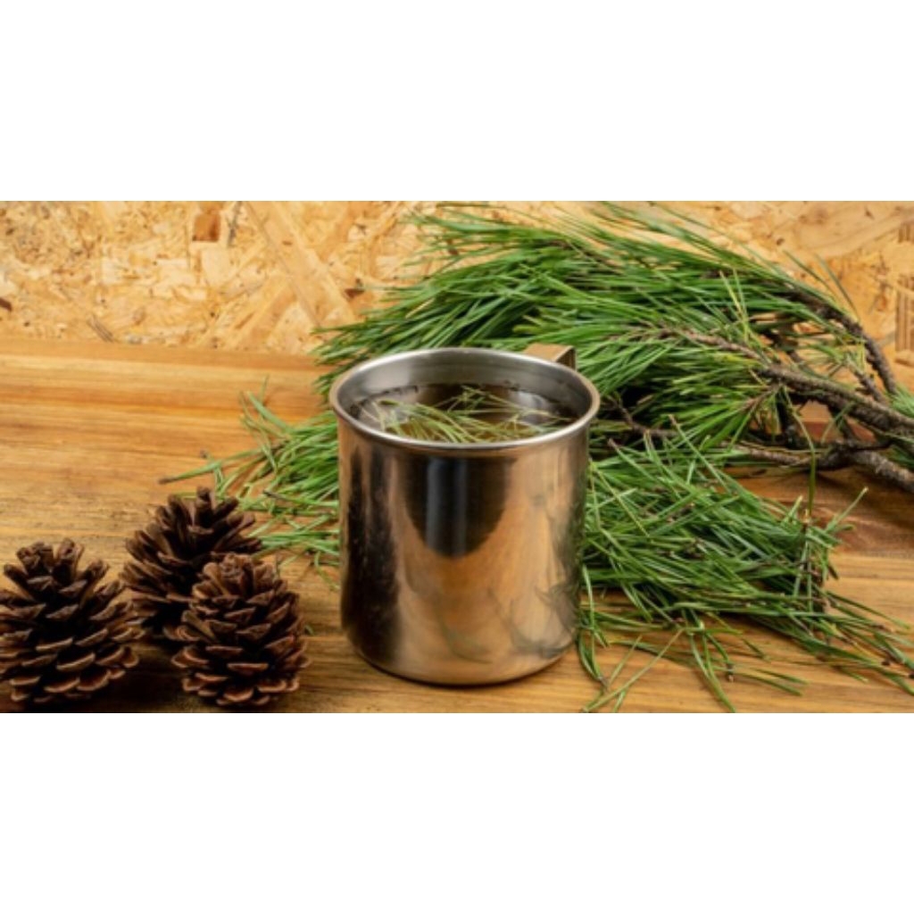 

Daun Pinus Hijau Segar kemasan 1 kg