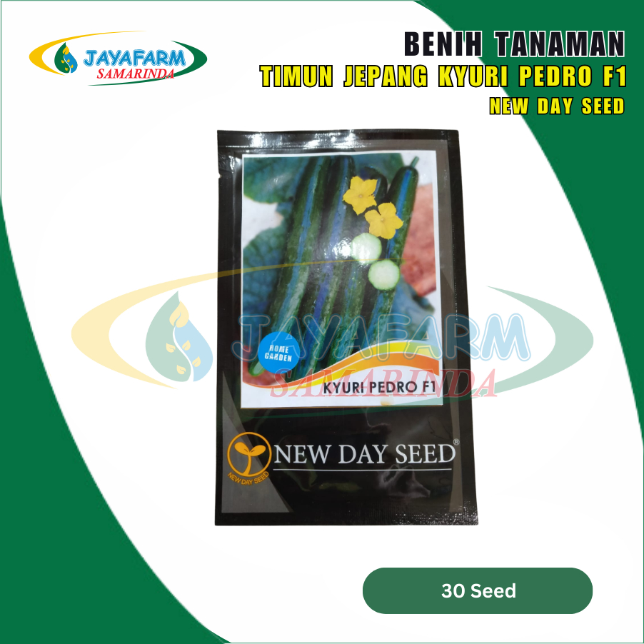 Benih Bibit Tanaman Sayur Buah Timun / Mentimun Jepang Kyuri Pedro F1 30 Seed - New Day Seed