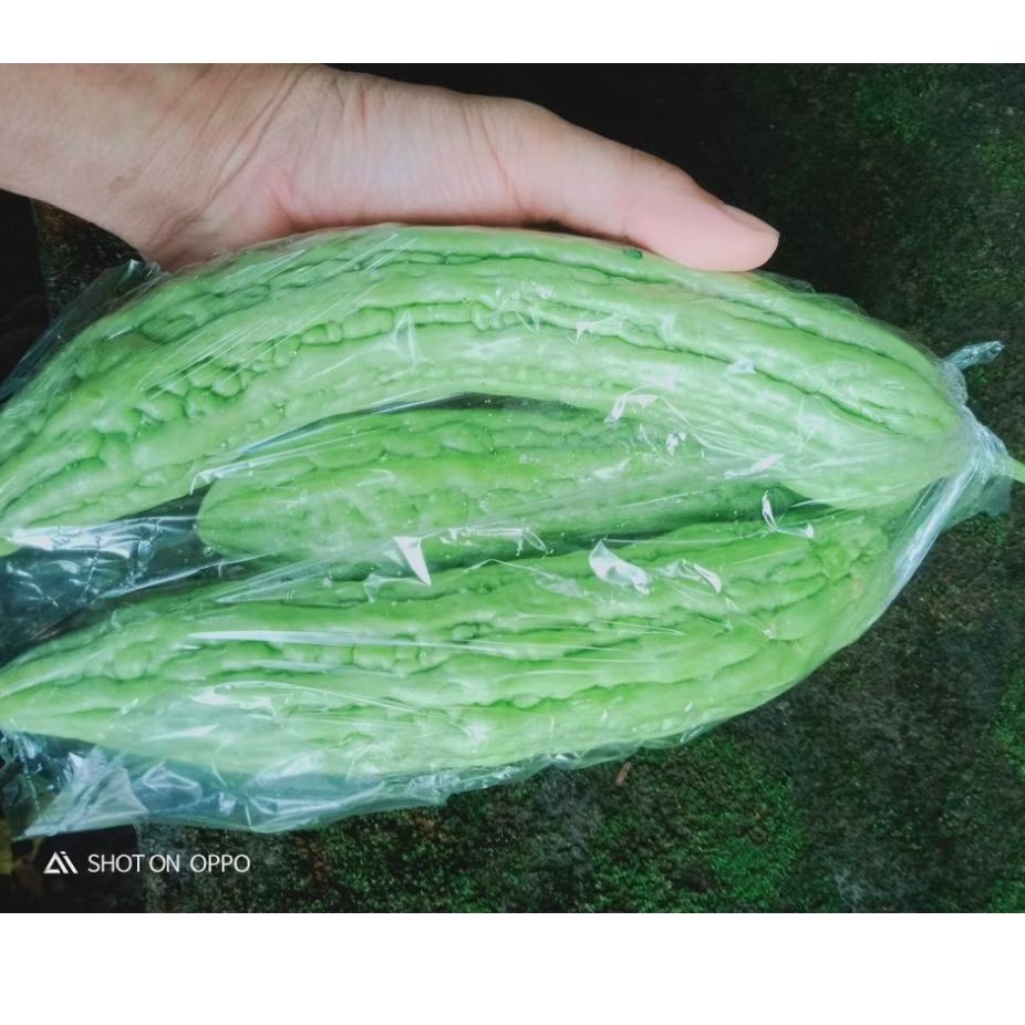 

sayur pare