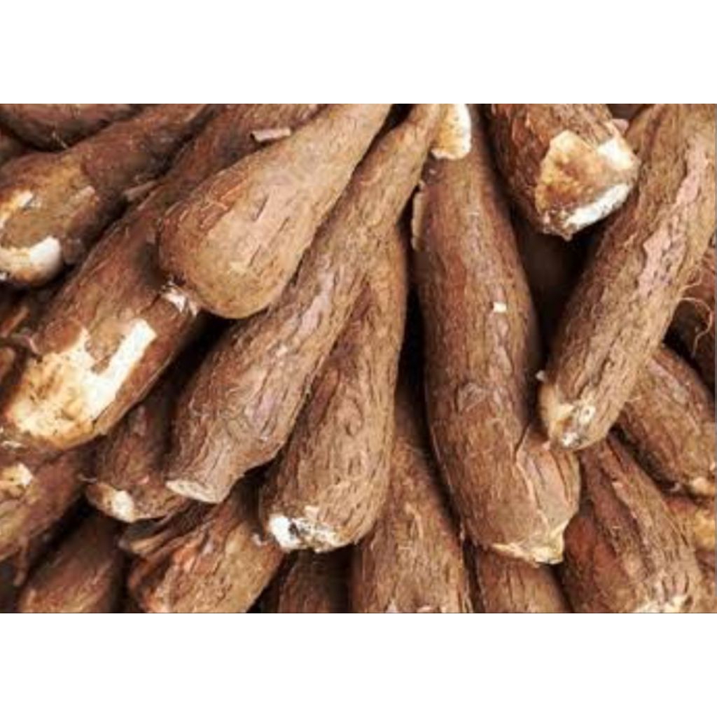 

ubi kayu makanan pretel